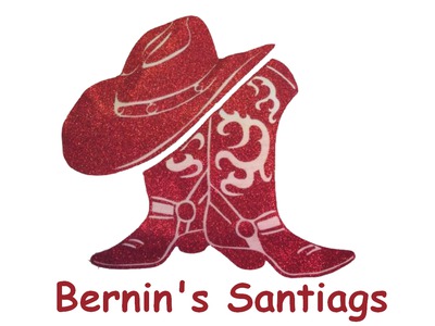 BERNIN\'S SANTIAGS